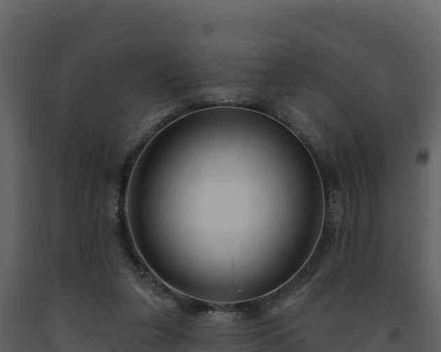 X0000093470255200710191151