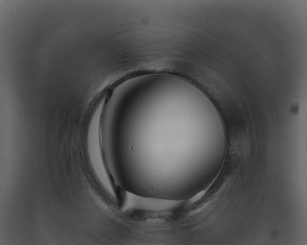 X0000093470256200710191151