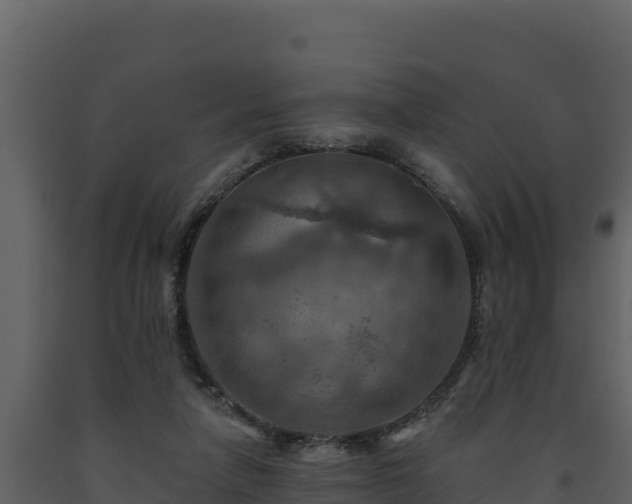 X0000093470258200710191151