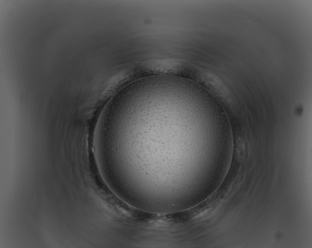 X0000093470259200710191151