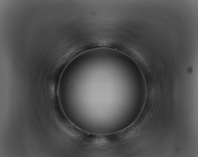 X0000093470262200710191151