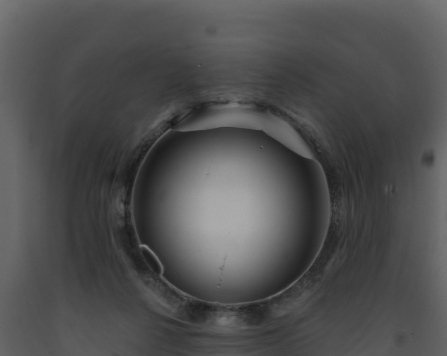 X0000093470264200710191151