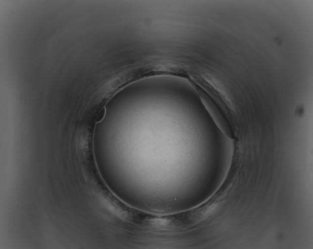 X0000093470265200710191151