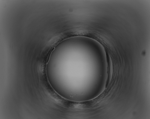 X0000093470268200710191151