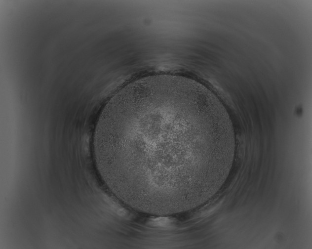 X0000093470269200710191151