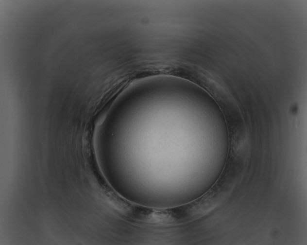 X0000093470270200710191151