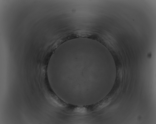 X0000093470271200710191151