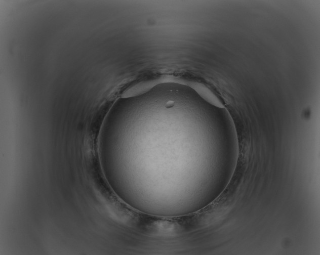 X0000093470272200710191151