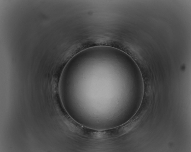 X0000093470273200710191151