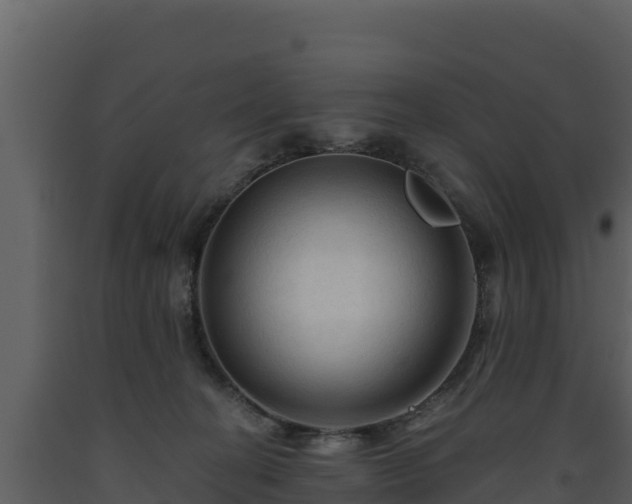 X0000093470274200710191151