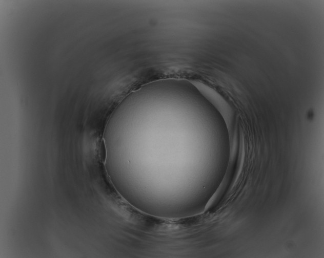 X0000093470276200710191151