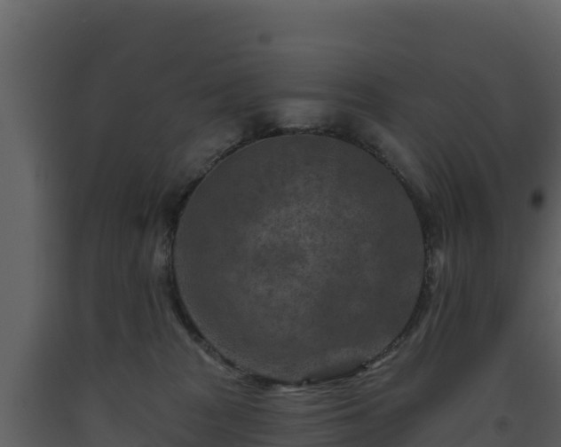 X0000093470277200710191151