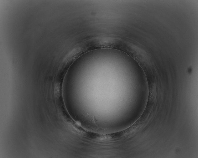 X0000093470278200710191151