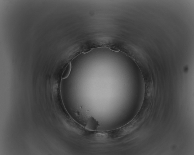 X0000093470279200710191152