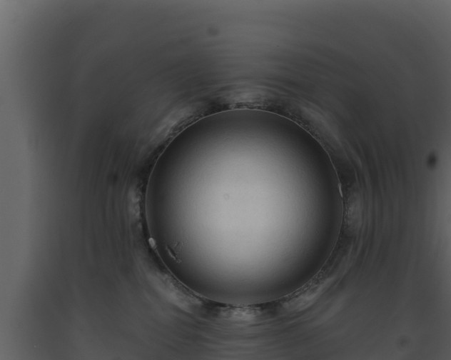 X0000093470282200710191152