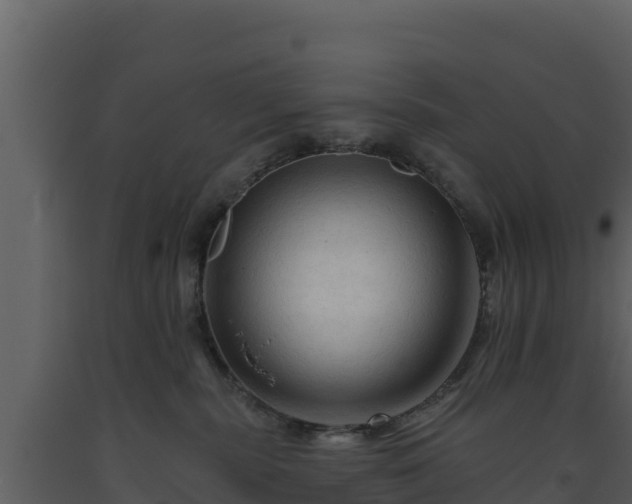 X0000093470283200710191152