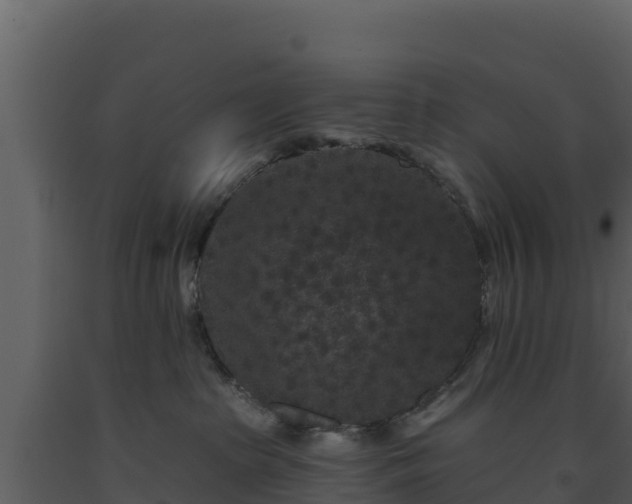 X0000093470285200710191152