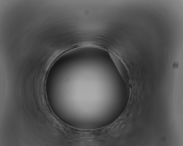 X0000093470289200710191151