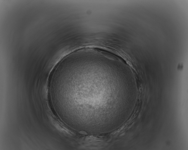 X0000093470290200710191151