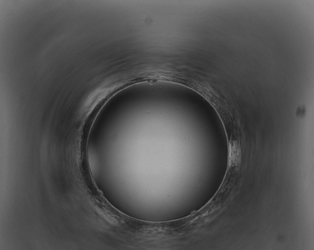 X0000093470291200710191151