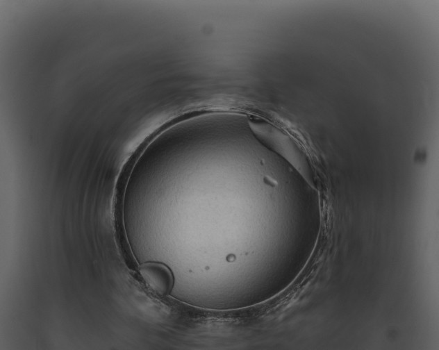 X0000093470292200710191151