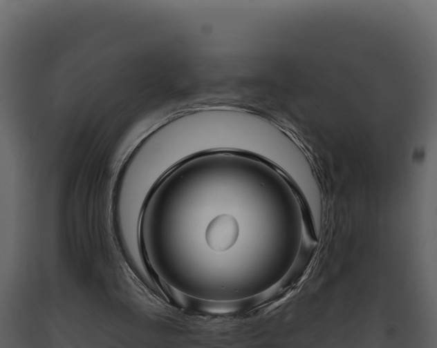 X0000093470293200710191151