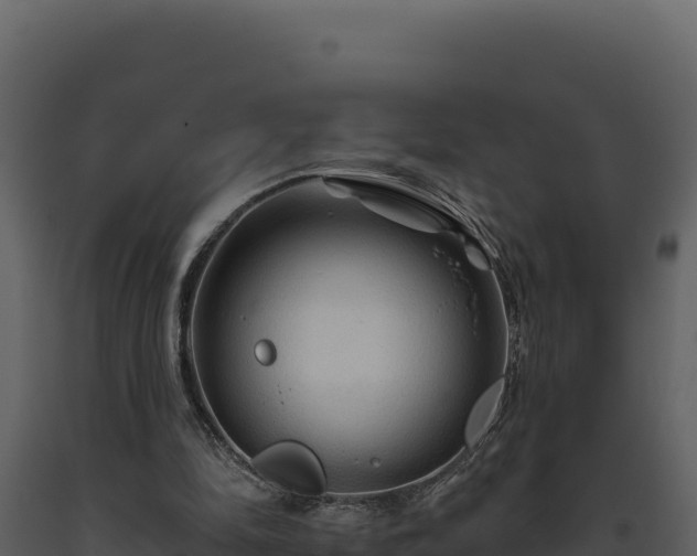 X0000093470294200710191151