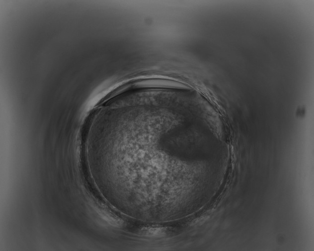 X0000093470295200710191151