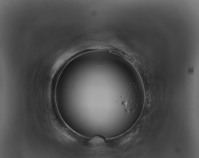 X0000093470296200710191151