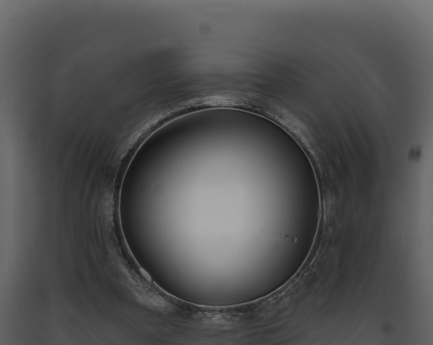 X0000093470297200710191151