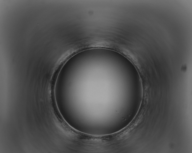 X0000093470298200710191151