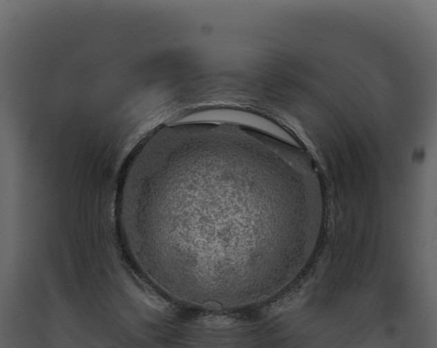 X0000093470299200710191151