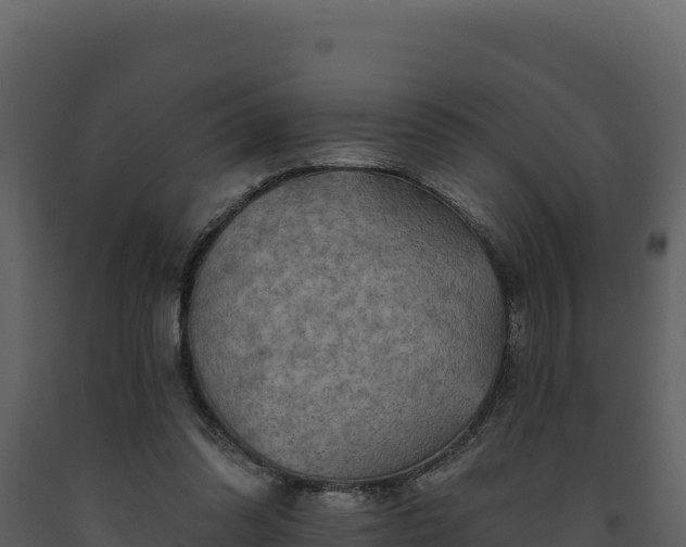 X0000093470302200710191151