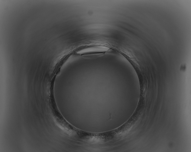 X0000093470303200710191151