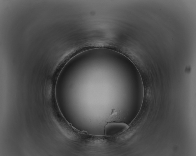 X0000093470304200710191151