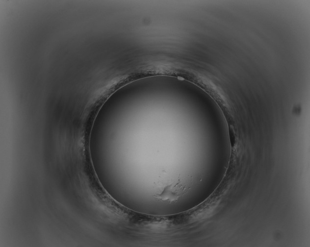 X0000093470306200710191151