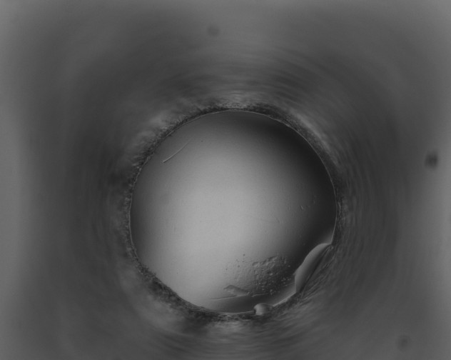 X0000093470307200710191151