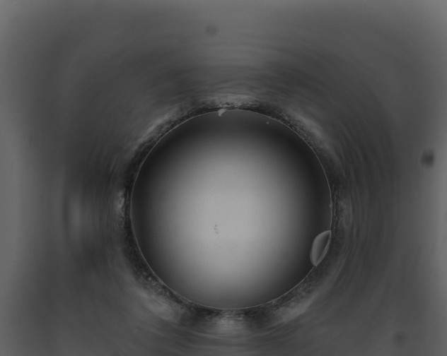 X0000093470308200710191151