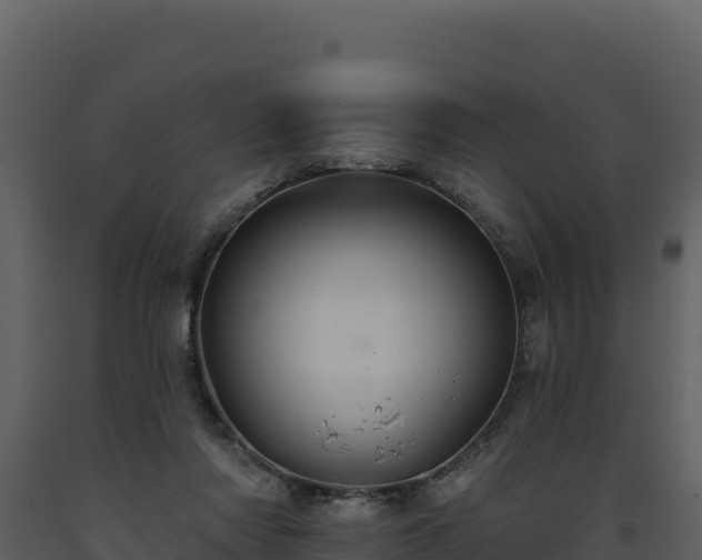 X0000093470310200710191151