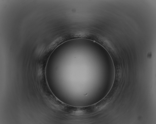 X0000093470312200710191151