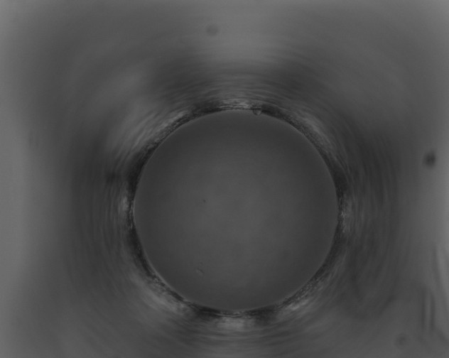 X0000093470314200710191151