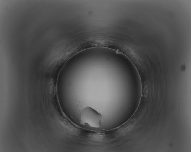 X0000093470318200710191150