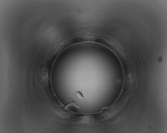 X0000093470320200710191150