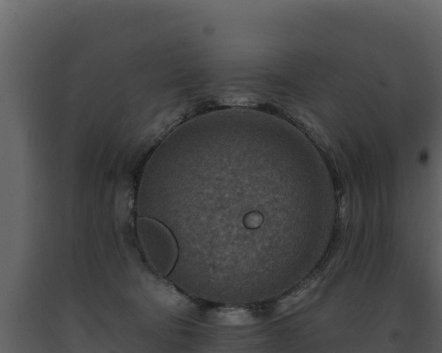 X0000093470322200710191150