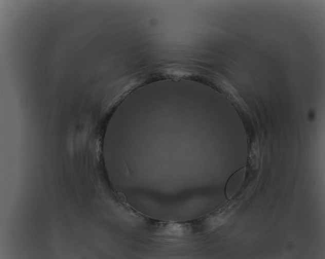 X0000093470330200710191150