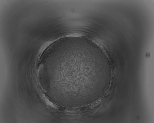 X0000093470337200710191150