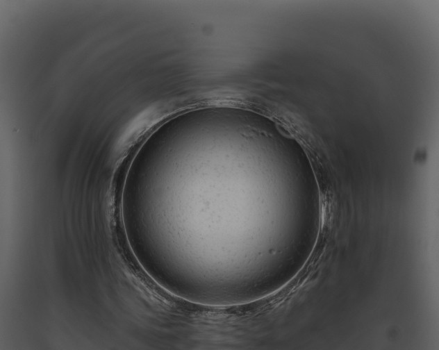 X0000093470339200710191150