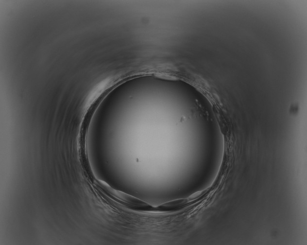 X0000093470340200710191150