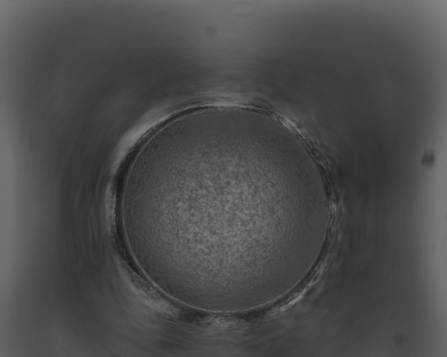 X0000093470343200710191150