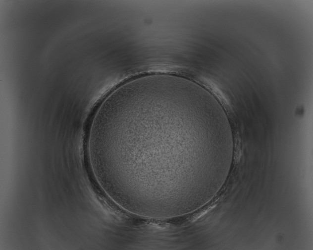 X0000093470346200710191150